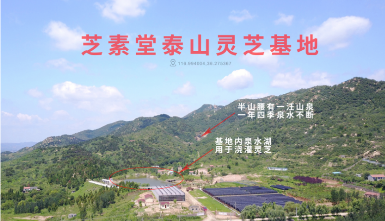 未命名